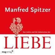 Cover von Das Gehirn und die Geheimnisse der Liebe