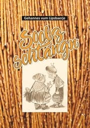 Cover von Soolzschtangn