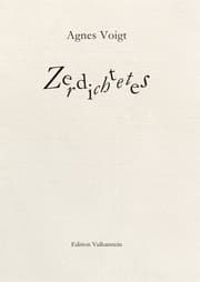 Cover von Zerdichtetes