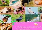 Cover von Himmelblau und Sonnenreich