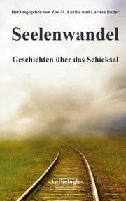 Cover von Seelenwandel