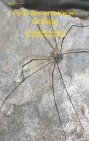 Cover von Finde den gestohlenen Schatz