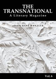 Cover von The Transnational Vol. 6