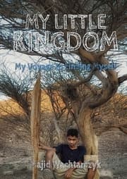 Cover von My Little Kingdom