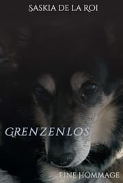 Cover von Grenzenlos