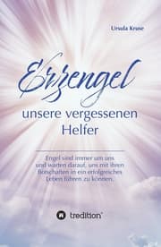 Cover von Erzengel - unsere vergessenen Helfer