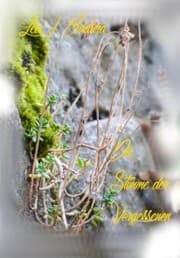 Cover von Die Stimme der Vergessenen