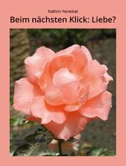 Cover von Beim nächsten Klick: Liebe?