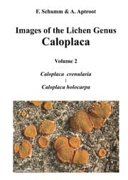 Cover von Images of the Lichen Genus Caloplaca, Vol 2