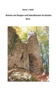 Cover von Ruinen von Burgen und Sakralbauten im Kanton Bern