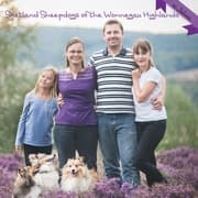 Cover von Shetland Sheepdogs of the Wonnegau Highlands