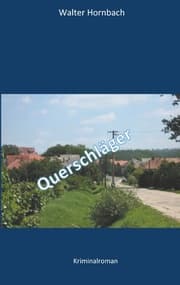 Cover von Querschläger