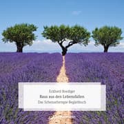 Cover von Raus aus den Lebensfallen