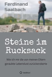 Cover von Steine im Rucksack
