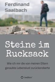 Cover von Steine im Rucksack