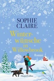 Cover von Winterwünsche in Willowbrook