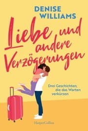 Cover von Liebe und andere Verzögerungen