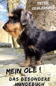 Cover von Mein Ole