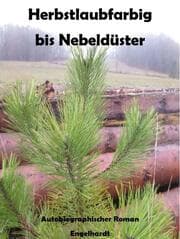 Cover von Herbstlaubfarbig bis Nebeldüster