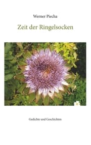 Cover von Zeit der Ringelsocken