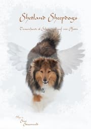 Cover von Shetland Sheepdogs