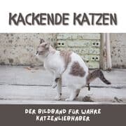 Cover von Kackende Katzen
