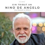 Cover von Ein Fanbuch über Nino de Angelo
