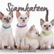 Cover von Siamkatzen