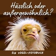Cover von Hässlich oder außergewöhnlich?