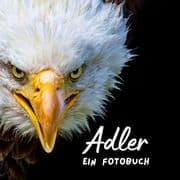 Cover von Adler