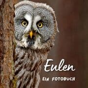 Cover von Eulen