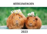 Cover von Meerschweinchen