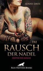 Cover von Im Rausch der Nadel , Erotischer Roman
