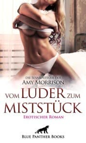 Cover von vom Luder zum MistStück , Erotischer Roman , die Sexabenteuer der Amy Morrison