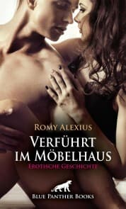 Cover von Verführt im Möbelhaus , Erotische Geschichte
