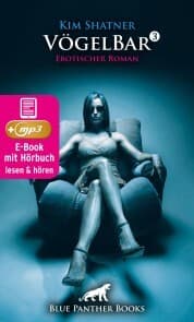 Cover von VögelBar 3 , Erotik Audio Story , Erotisches Hörbuch