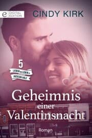 Cover von Geheimnis einer Valentinsnacht