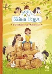 Cover von Die Schule der kleinen Ponys - Ein Heuhaufen voller Geheimnisse