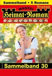 Cover von Heimat-Roman Treueband 30