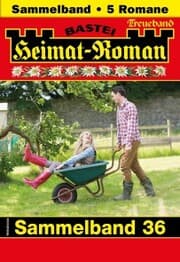 Cover von Heimat-Roman Treueband 36