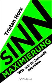 Cover von Sinnmaximierung