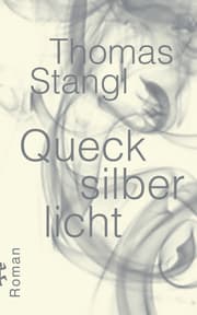 Cover von Quecksilberlicht