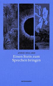 Cover von Einen Stein zum Sprechen bringen