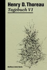 Cover von Tagebuch VI