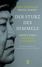 Cover von Der Sturz des Himmels