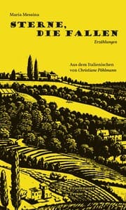 Cover von Sterne, die fallen