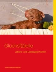 Cover von Glücksf(ä)elle