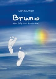 Cover von Bruno - vom Baby zum Sternenkind
