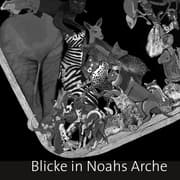 Cover von Blicke in Noahs Arche