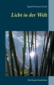 Cover von Licht in der Welt